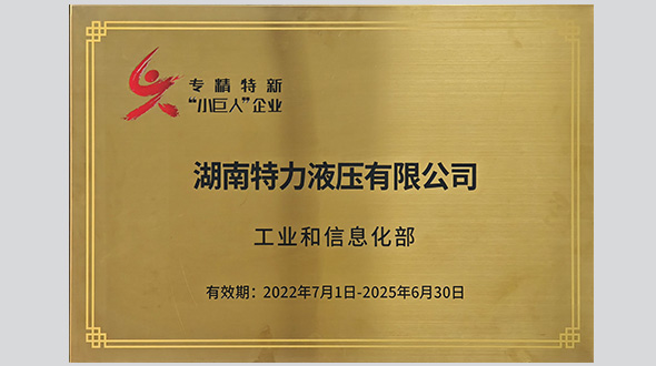 國家級專精特新“小巨人”企業