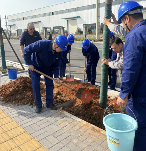 植一抹新綠，種一份希望
